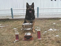 CLICK ON IMAGE FOR LARGER VIEW