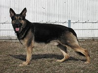 CLICK ON IMAGE FOR LARGER VIEW