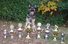 CLICK ON IMAGE FOR LARGER VIEW