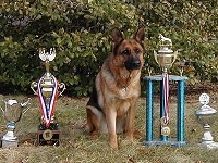 CLICK ON IMAGE FOR LARGER VIEW