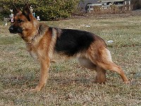 CLICK ON IMAGE FOR LARGER VIEW