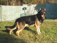 CLICK ON IMAGE FOR LARGER VIEW