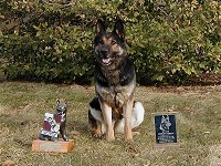 CLICK ON IMAGE FOR LARGER VIEW