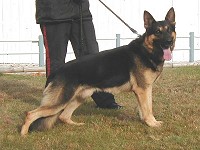 CLICK ON IMAGE FOR LARGER VIEW